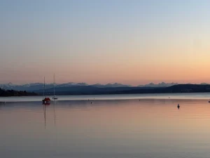 Das Bild zeigt eine ruhige Abendstimmung am Ammersee mit Blick auf die Alpen. Im Vordergrund sind mehrere Segelboote auf dem glatten Wasser zu sehen, im Hintergrund erstreckt sich die beeindruckende Silhouette der Berge, beleuchtet durch das sanfte Rosa des Sonnenuntergangs.
