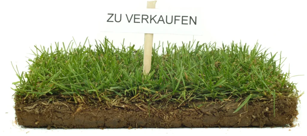 Querschnitt eines Grasstücks mit Erde und einem kleinen Schild mit der Aufschrift ‚ZU VERKAUFEN‘
