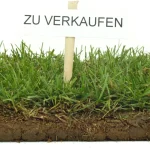 Querschnitt eines Grasstücks mit Erde und einem kleinen Schild mit der Aufschrift ‚ZU VERKAUFEN‘