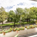 Aus einem geöffneten Fenster blickt man auf eine grüne Landschaft mit Bäumen und einem kleinen Fluss, wahrscheinlich die Würm. Einige Autos parken neben der Straße, die neben dem Fluss verläuft. Im Vordergrund ist eine Blumenkiste zu sehen.