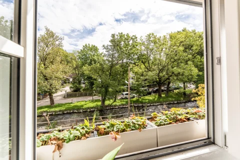Idyllischer Blick auf die Würm aus dem Fenster Aus einem geöffneten Fenster blickt man auf eine grüne Landschaft mit Bäumen und einem kleinen Fluss, wahrscheinlich die Würm. Einige Autos parken neben der Straße, die neben dem Fluss verläuft. Im Vordergrund ist eine Blumenkiste zu sehen.