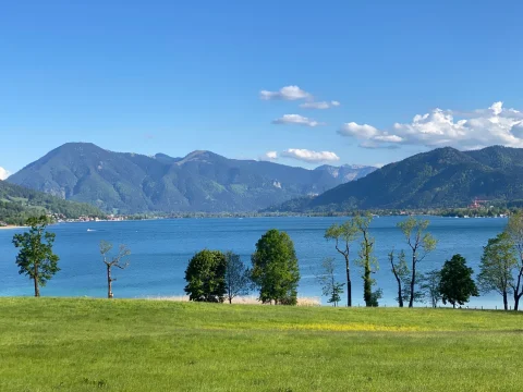 Der Blick von Gmund auf den Tegernsee zeigt eine idyllische Landschaft mit dem klaren, blauen Wasser des Sees. Im Hintergrund erheben sich grüne, bewaldete Berge. Im Vordergrund ist eine grüne Wiese mit vereinzelten Bäumen zu sehen. Ein sonniger Tag mit einigen Wolken.