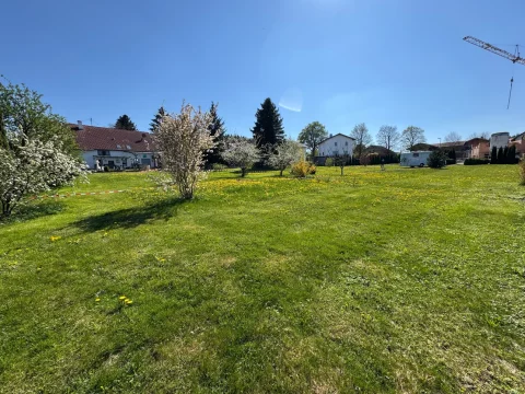 Blick von Norden aus auf das Baugrundstück Hagenheim