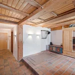 Das Bild zeigt einen rustikalen Eingangsbereich mit Terrakotta-Fliesen, Holzbalken an Decke und Wänden, einer Holztür rechts, und einem großen zweitürigen Holzschrank. Links eine bemalte Truhe, darüber eine Laterne. Ein möglicher Kellerzugang ist erkennbar.