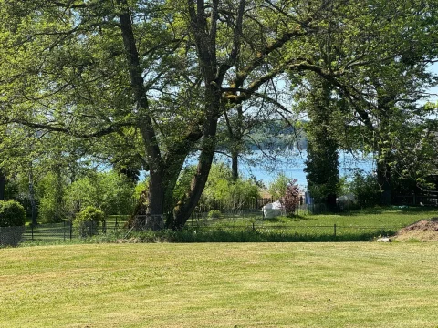 Das Bild zeigt eine grüne Wiese mit großen, ausladenden Bäumen an einem sonnigen Tag. Im Hintergrund ist ein Zaun zu erkennen, der möglicherweise ein Grundstück am Ammersee abgrenzt. Dahinter sind schemenhafte Ansichten eines Sees und einer kleinen Hütte sichtbar.