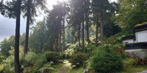 Baugrundstück am Ammersee mit Seeblick Das Bild zeigt einen Waldweg, umgeben von hohen Bäumen und grünen Sträuchern. Rechts im Vordergrund sind gestapelte Materialien, möglicherweise Bienenkästen, neben einem Haus zu sehen. Die Sonne scheint durch die Baumwipfel. Der String liefert keine relevanten Informationen zum Bild.