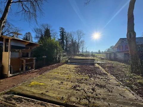 Das Bild zeigt einen sonnigen Garten mit einer alten, moosbedeckten Holzterrasse im Vordergrund. Links steht eine einfache, hölzerne Konstruktion, eventuell eine Art Bar oder Verkaufsstand. Bäume und Sträucher umgeben das Grundstück, und im Hintergrund ist ein Haus zu erkennen. Der Himmel ist klar blau.