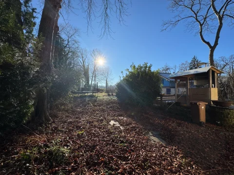 Im sonnendurchfluteten Garten steht eine hölzerne Konstruktion neben braunen Laubhaufen. Bäume und Sträucher säumen das Grundstück, das an ein blaues Haus angrenzt. Einzelne Sonnenstrahlen brechen durch, verstärkt durch die tiefstehende Sonne.