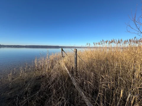 Ein Seeufer bei klarem Himmel, umgeben von trockenem Schilf und einer alten Holzbarriere. Der Horizont zeigt eine ferne Landmasse und der See ist ruhig.