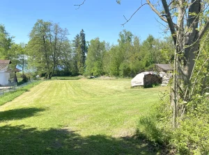 Das Bild zeigt eine große, sonnige Grünfläche, vermutlich ein Grundstück in Inning. Im Vordergrund ist frisch gemähtes Gras, am Rand Bäume und Sträucher. Links sieht man teilweise ein Gebäude, rechts einen Holzstapel unter einem Dach und einen Anhänger.