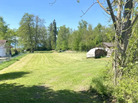 Das Bild zeigt eine große, sonnige Grünfläche, vermutlich ein Grundstück in Inning. Im Vordergrund ist frisch gemähtes Gras, am Rand Bäume und Sträucher. Links sieht man teilweise ein Gebäude, rechts einen Holzstapel unter einem Dach und einen Anhänger.