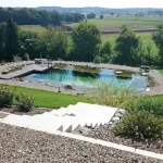 Das Bild zeigt eine Gartenlandschaft mit einem natürlichen Schwimmteich und einem modernen Pool, umgeben von einem gepflegten Rasen, Rosensträuchern und Kieselwegen. Ein bewaldeter Hügel bildet den Hintergrund. Der Stil deutet auf hochwertige Gartenbauarbeit hin, spezialisiert möglicherweise von einem Unternehmen wie Thoma Galabau in Penzing-Landsberg.
