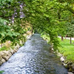 Ein idyllischer Fluss, umsäumt von grünen Bäumen und Sträuchern, fließt durch eine städtische Umgebung. Ein Fußweg und Autos sind am rechten Ufer erkennbar. Die Landschaft wirkt friedlich und natürlich.