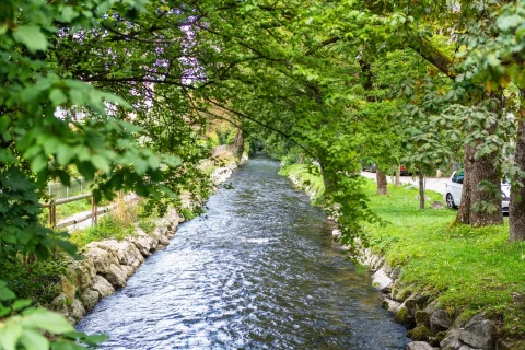 Idyllisches Flussufer im grünen Wohnen Wuerm Ein idyllischer Fluss, umsäumt von grünen Bäumen und Sträuchern, fließt durch eine städtische Umgebung. Ein Fußweg und Autos sind am rechten Ufer erkennbar. Die Landschaft wirkt friedlich und natürlich.
