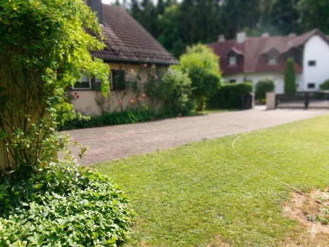 Eine grüne Zufahrt, gesäumt von Bäumen und Büschen, führt zu einem Grundstück in Diessen am Ammersee.